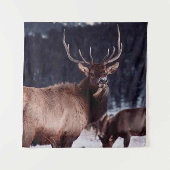 SHALLOW FOCUS FOTO BROWN DEER WANDTEPPICH (Vorderseite)