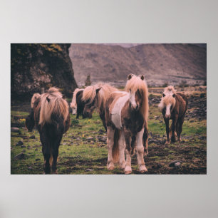 SHALLOW FOCUS FOTOGRAFIE DER PFERDE POSTER