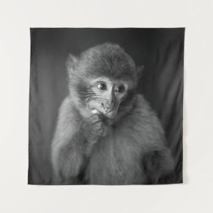 SHALLOW FOCUS FOTOGRAFIE DES SCHWARZEN MONKEY WANDTEPPICH