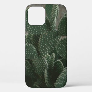 SHALLOW FOCUS FOTOGRAFIE VON CACTUS Case-Mate iPhone HÜLLE