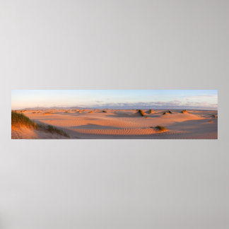 Shallow Inlet Dunes Panorama Poster