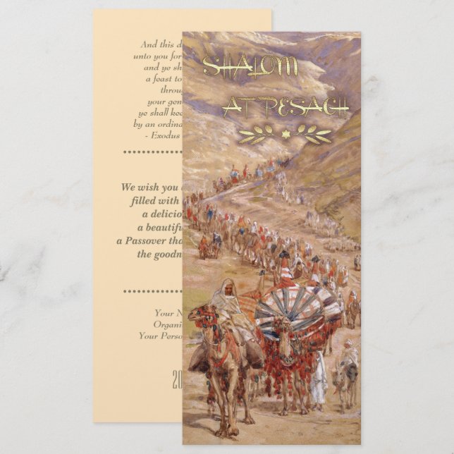 Shalom in Pesach. Fine Art Passover Grußkarte Karte (Vorne/Hinten)
