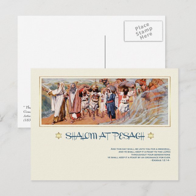 Shalom in Pesach.Fine Art Pessach Postkarte (Vorne/Hinten)