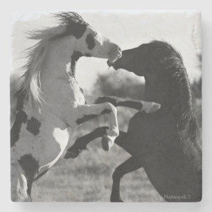 Shaman, wilder Medizin-Hut Stallion Untersetzer