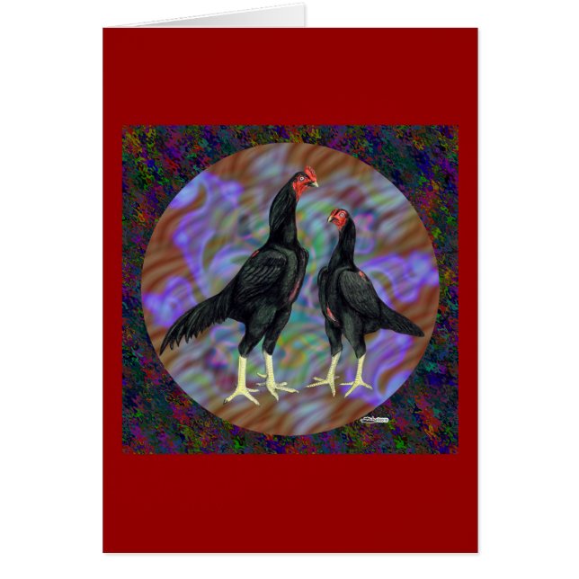 Shamo: Schwarzes Paar (Vorne)