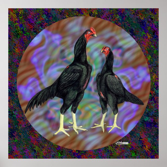 Shamo: Schwarzes Paar Poster (Vorne)