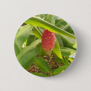 Shampoo Ginger Blume Button