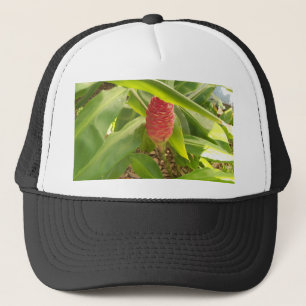 Shampoo Ginger flower Truckerkappe