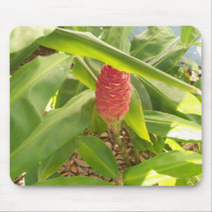 Shampoo Ingwerblüte Mousepad