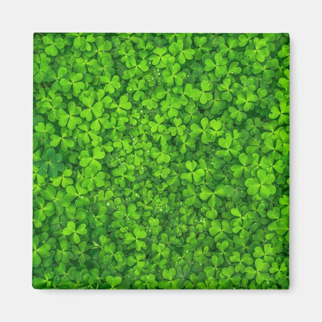 Shamrock green, St. Patrick's Day, Magnet (Vorne)