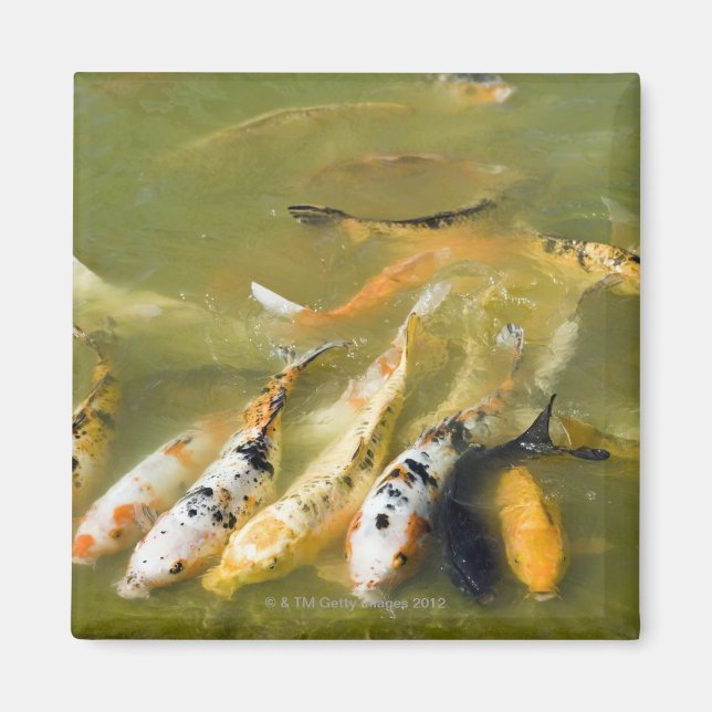 Shanghai, China Magnet (Vorne)