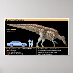 Shantungosaurus - Biologie Jura Poster