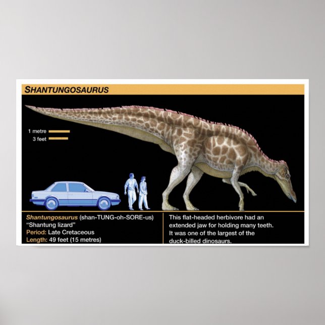 Shantungosaurus - Biologie Jura Poster (Vorne)