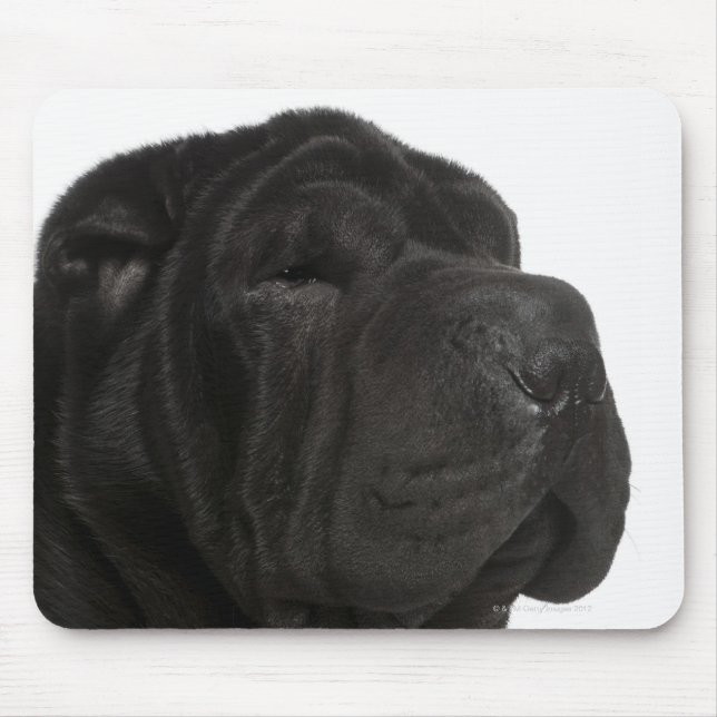 Shar Pei (1 Jahr alt) nah-up Mousepad (Vorne)