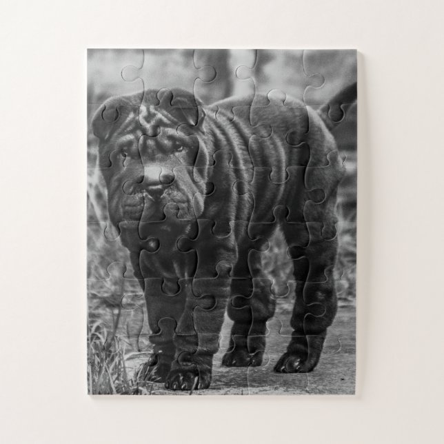 SHAR PEI BLACK DOG JIGSAW PUZZLE (Vertikal)