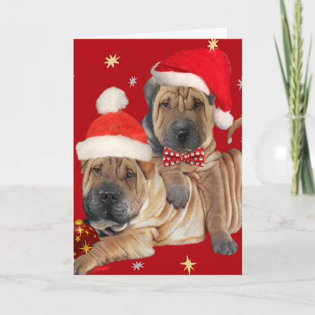 Shar-pei Brothers Weihnachtskarten Feiertagskarte (Vorderseite)