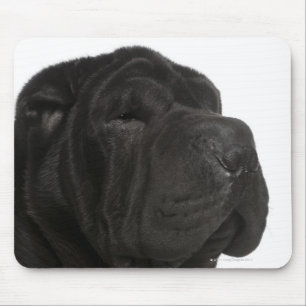 Shar Pei (einjährige) Nahaufnahme Mousepad
