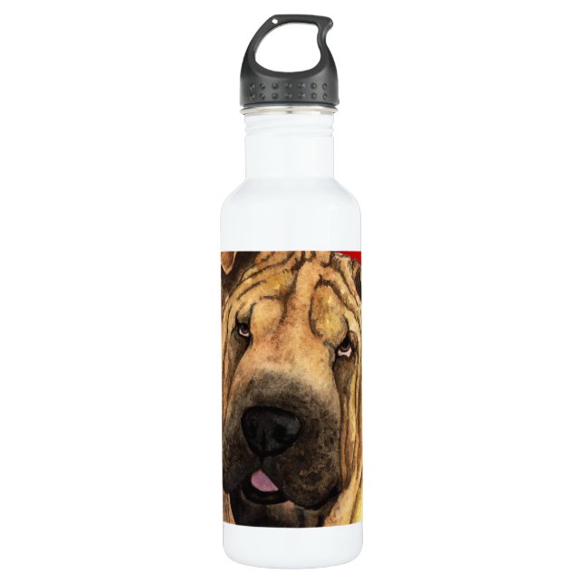 Shar-Pei-Farbblock Edelstahlflasche (Vorderseite)