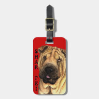 Shar-Pei-Farbblock