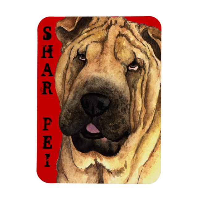 Shar-Pei-Farbblock Magnet (Vertikal)