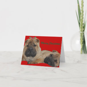 Shar Pei Holly Puppy Christmas Feiertagskarte