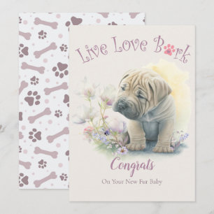 Shar-pei Hund Adoption, Gotcha-Tag Karte