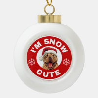 Shar-Pei I'm Snow Niedlich