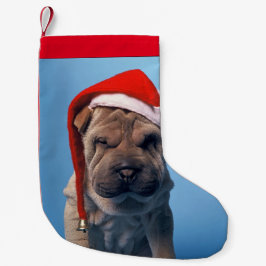 Shar pei mit Weihnachtshut Kleiner Weihnachtsstrumpf