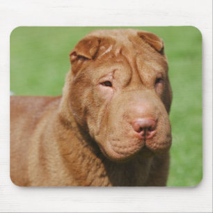Shar Pei Mousepad