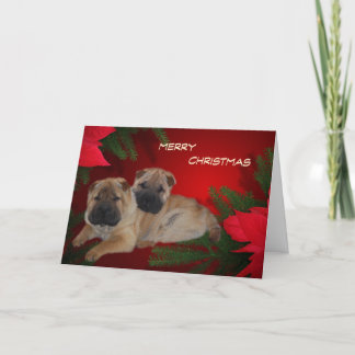 Shar Pei Puppies Poinsettia Card Feiertagskarte