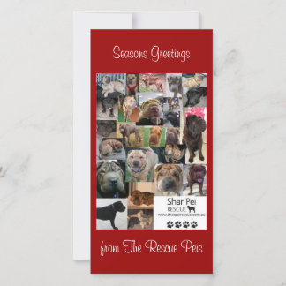 Shar Pei Rescue Xmas Card Feiertagskarte