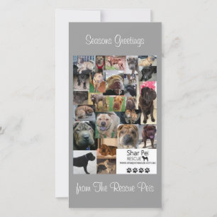 Shar Pei Rescue Xmas Card Feiertagskarte