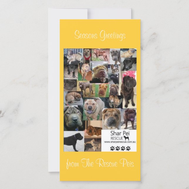 Shar Pei Rescue Xmas Card Feiertagskarte (Vorderseite)