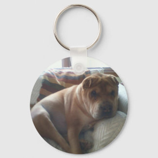 Shar-Pei Schlüsselanhänger