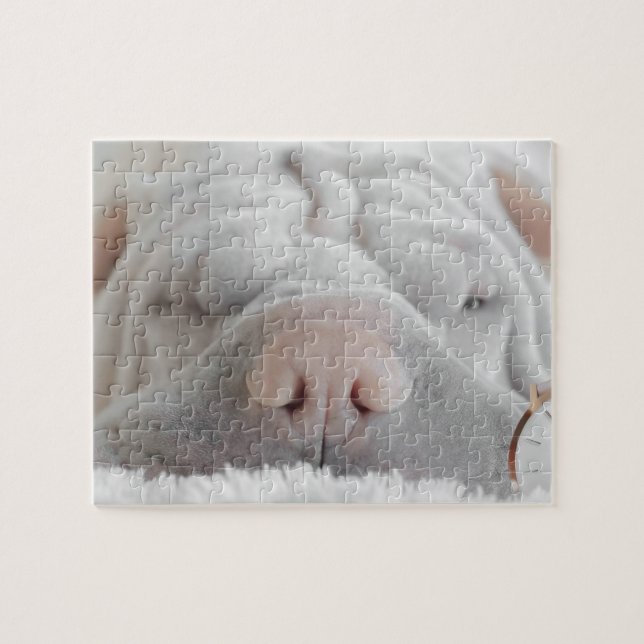 SHAR PEI SLEEPY HUND CLOSEUP PUZZLE (Horizontal)