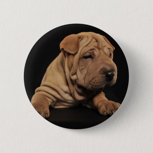 Shar Pei Welpe Button (Vorderseite)