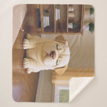 Shar Pei Welpe - Sanfte Ruhe von WangWang