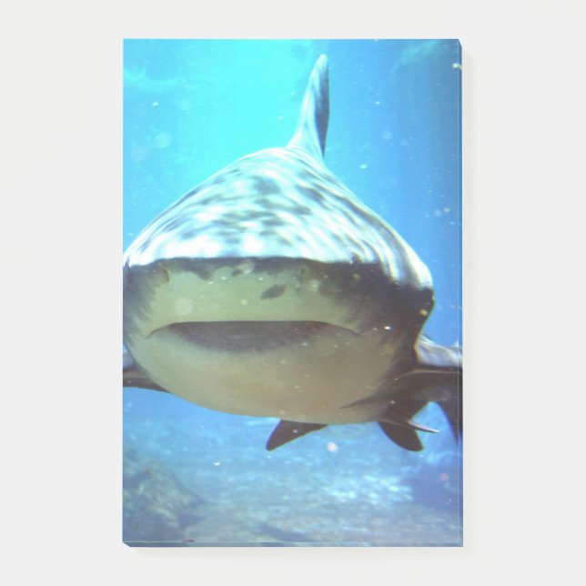 shark-5.jpg post-it klebezettel (Vorderseite)