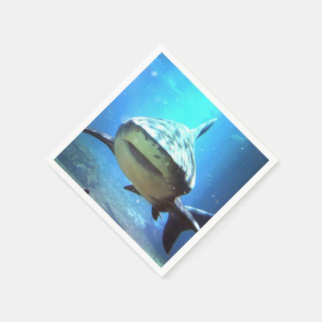 shark-5.jpg serviette (Ecke)