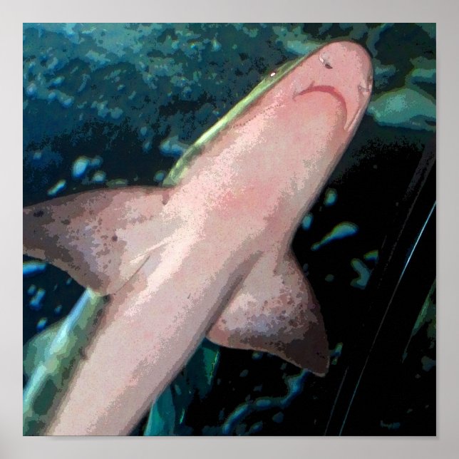 Shark CB Poster (Vorne)