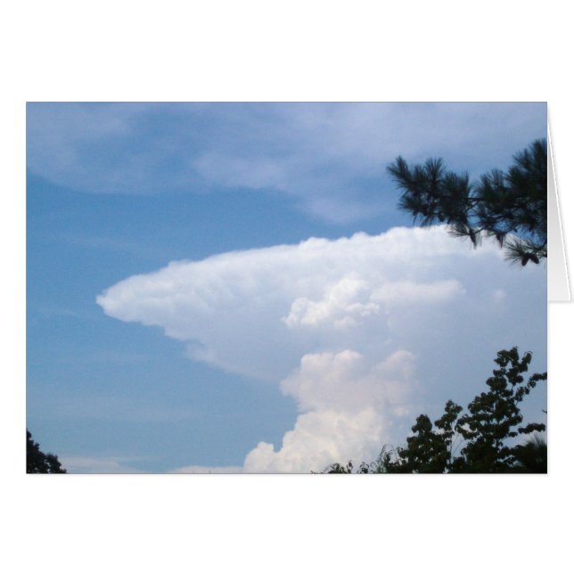 Shark Cloud (Vorderseite (Horizontal))