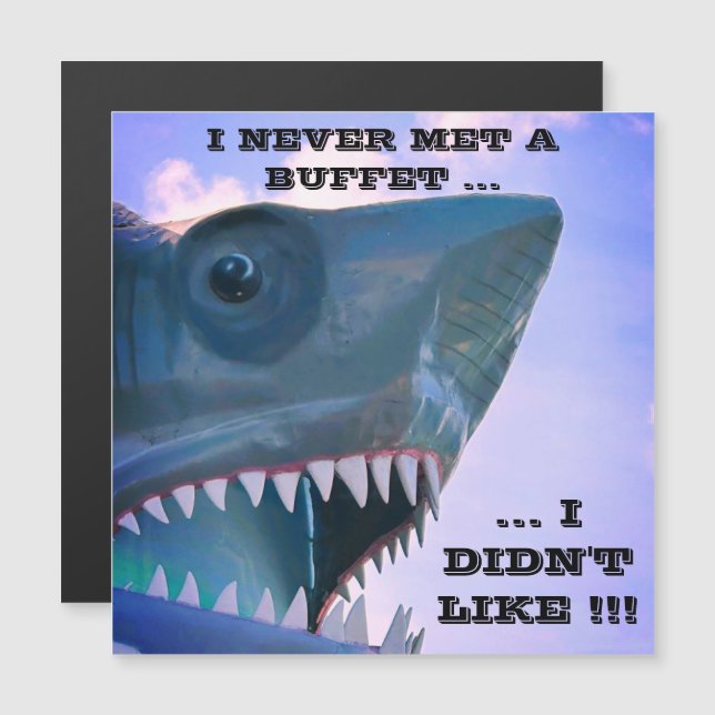 SHARK CRUISISISE TÜR MAGNET (Vorne/Hinten)