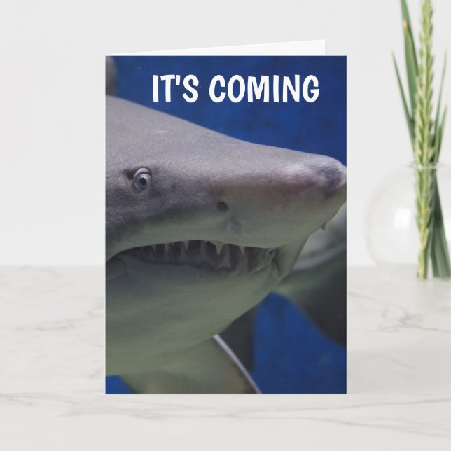 SHARK FOTOGRAFIE FUNNY BIRTHDAY CARD KARTE (Vorderseite)