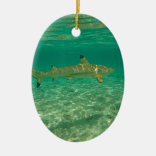 Shark in bora bora keramik ornament