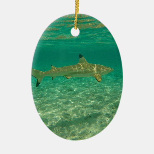 Shark in bora bora keramik ornament (Vorne)