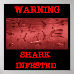 SHARK INFEST POSTER