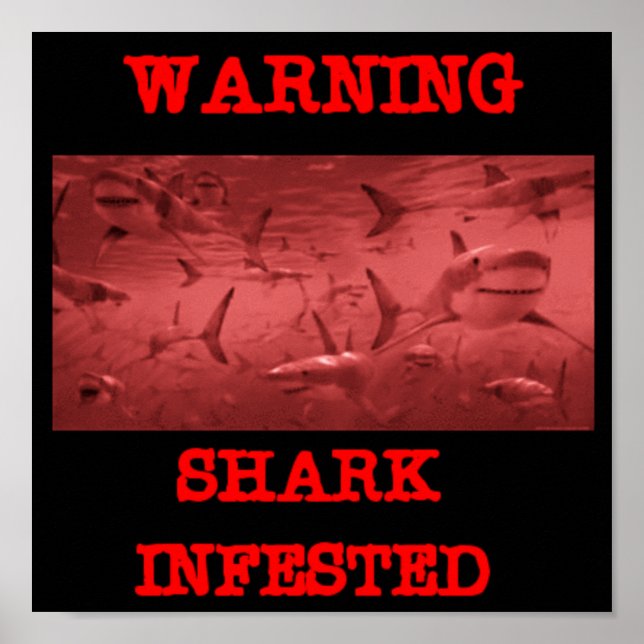 SHARK INFEST POSTER (Vorne)