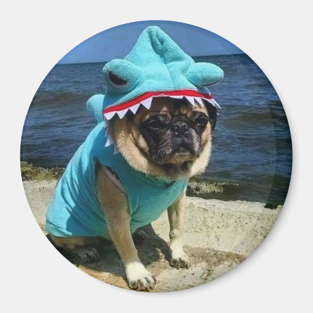 Shark Mops Magnet (Vorne)