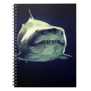 Shark-Notebook Notizblock