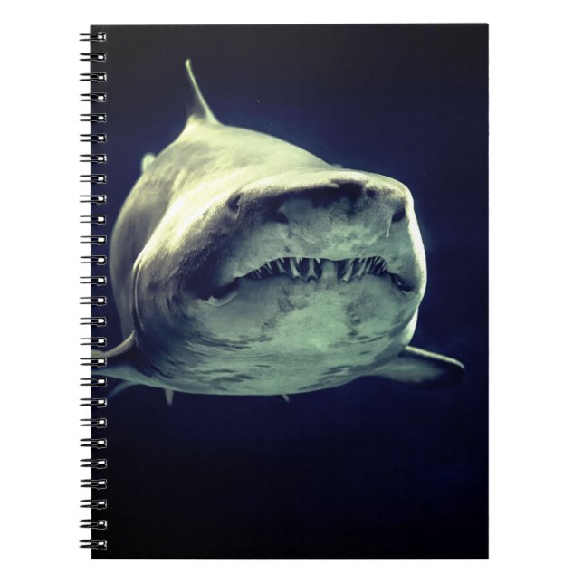 Shark-Notebook Notizblock (Vorderseite)